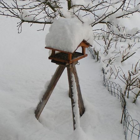 Fewo Talula - Sauerland Mit Hund Apartman Medebach Kültér fotó