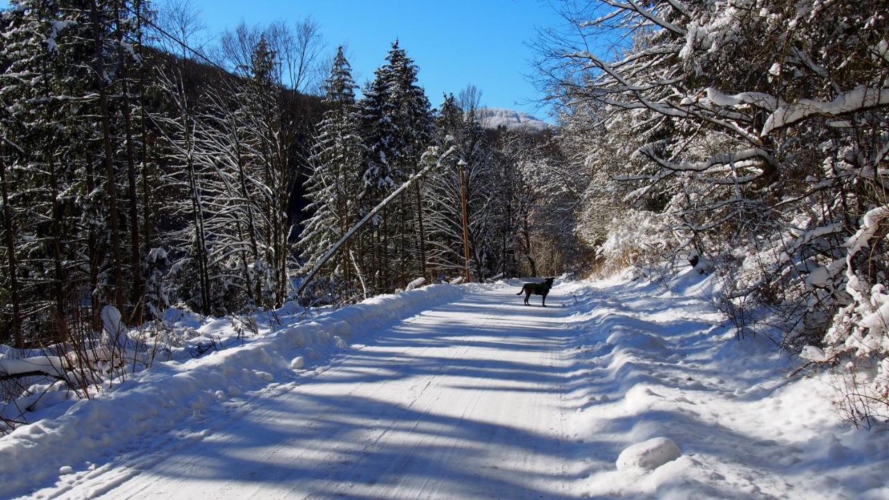 Fewo Talula - Sauerland Mit Hund Apartman Medebach Kültér fotó