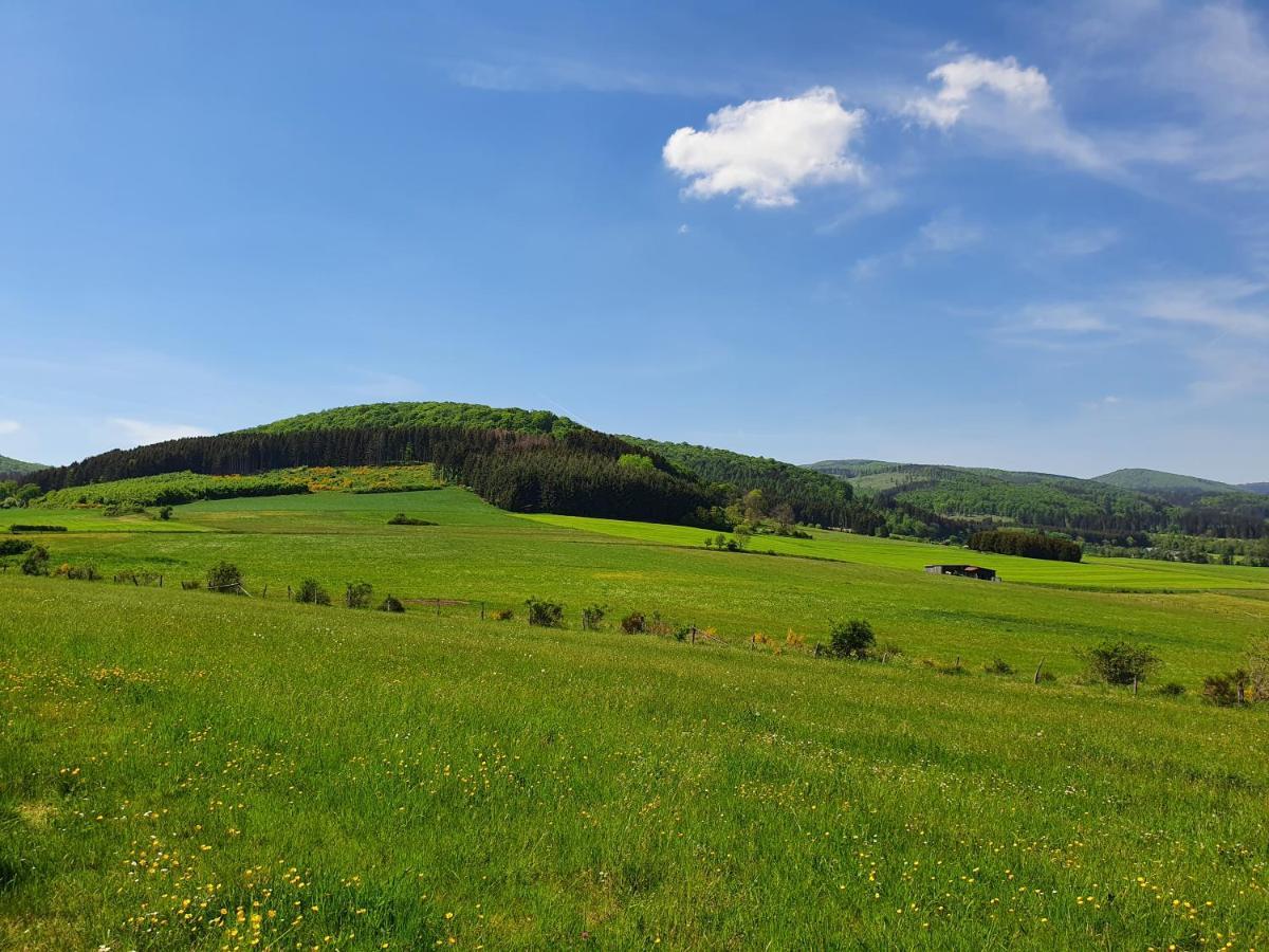 Fewo Talula - Sauerland Mit Hund Apartman Medebach Kültér fotó