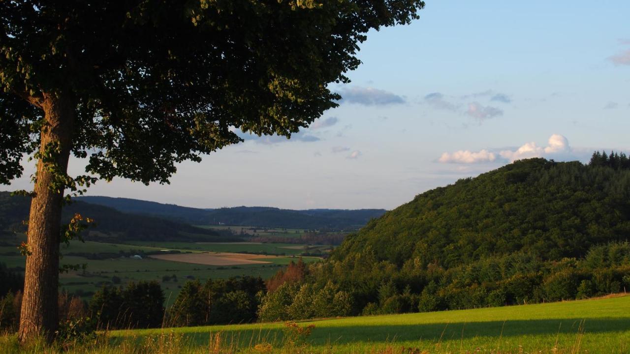 Fewo Talula - Sauerland Mit Hund Apartman Medebach Kültér fotó