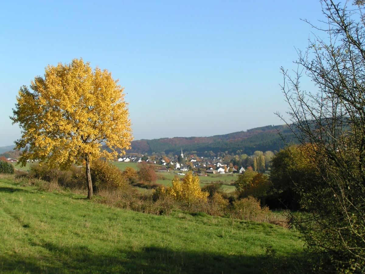 Fewo Talula - Sauerland Mit Hund Apartman Medebach Kültér fotó