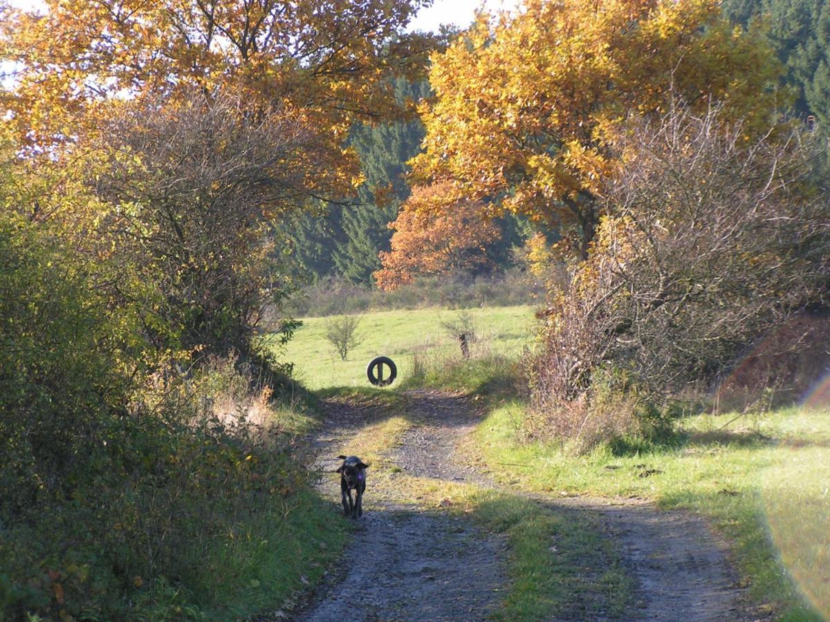 Fewo Talula - Sauerland Mit Hund Apartman Medebach Kültér fotó